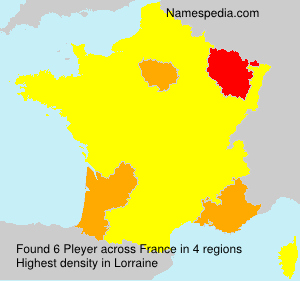 Surname Pleyer in France