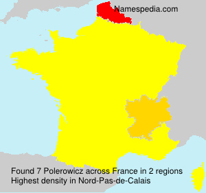 Surname Polerowicz in France