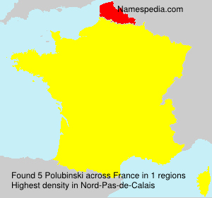 Surname Polubinski in France