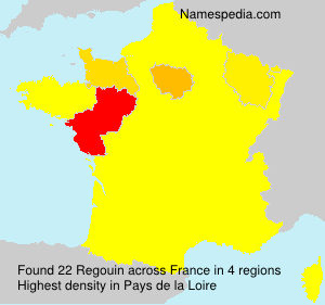 Surname Regouin in France
