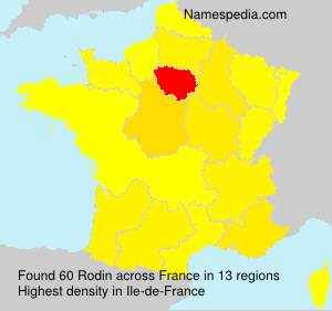 Surname Rodin in France