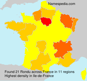 Surname Rondu in France