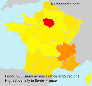 Surname Saadi in France