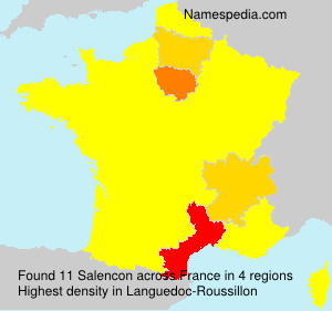 Surname Salencon in France