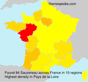 Surname Sauzereau in France