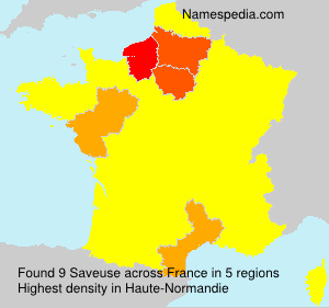 Surname Saveuse in France