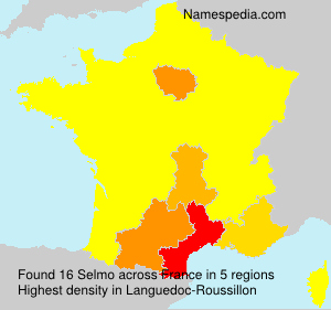 Surname Selmo in France