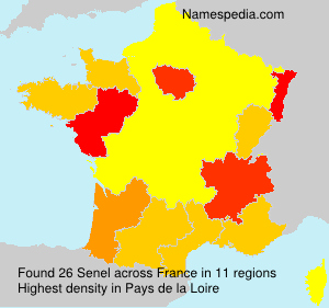 Surname Senel in France