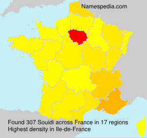 Surname Souidi in France