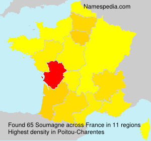Surname Soumagne in France