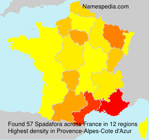 Surname Spadafora in France