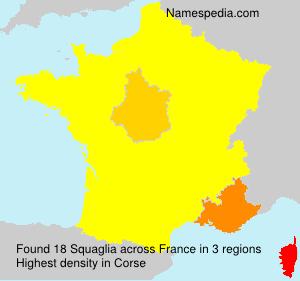Surname Squaglia in France