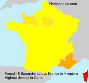 Surname Squarcini in France