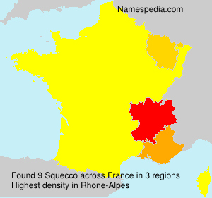 Surname Squecco in France