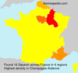 Surname Squevin in France