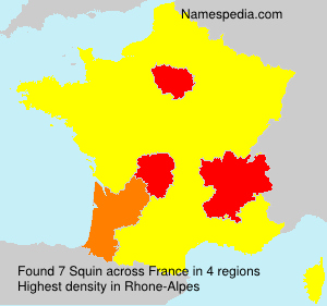 Surname Squin in France