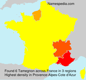 Surname Tamegnon in France