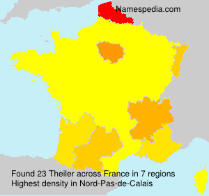 Surname Theiler in France