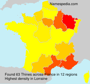 Surname Thines in France
