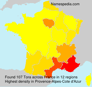 Surname Tora in France