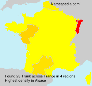 Surname Trunk in France