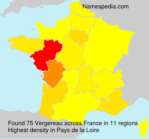Surname Vergereau in France