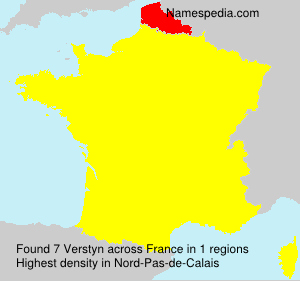 Surname Verstyn in France
