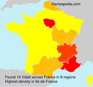 Surname Vidali in France