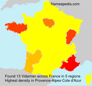 Surname Vidaman in France