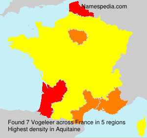 Surname Vogeleer in France