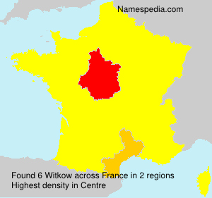 Surname Witkow in France