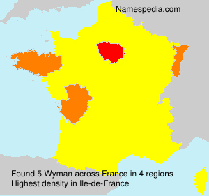 Surname Wyman in France