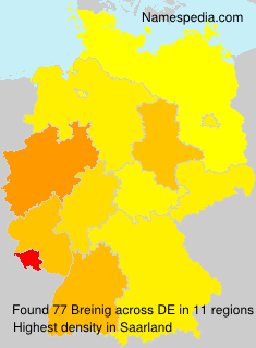 Surname Breinig in Germany