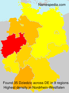 Surname Dziedzic in Germany