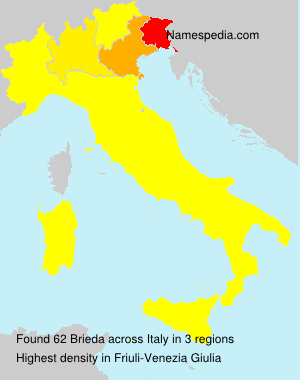 Surname Brieda in Italy