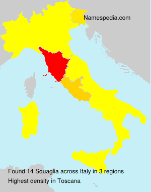 Surname Squaglia in Italy
