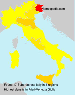 Surname Suber in Italy
