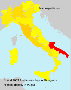 Surname Turi in Italy