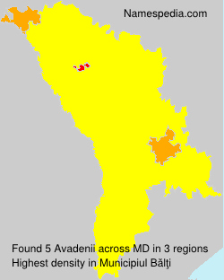 Surname Avadenii in Moldova