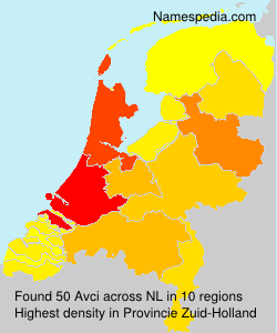 Surname Avci in Netherlands