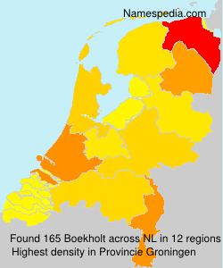Surname Boekholt in Netherlands
