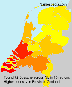 Surname Bossche in Netherlands Surname Bossche in Netherlands