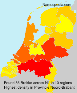 Surname Brokke in Netherlands
