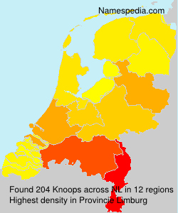 Surname Knoops in Netherlands