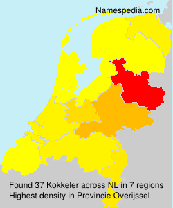 Surname Kokkeler in Netherlands