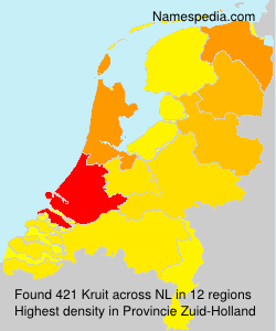 Surname Kruit in Netherlands