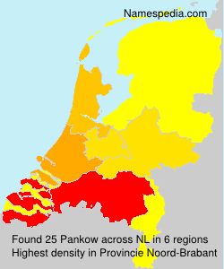 Surname Pankow in Netherlands