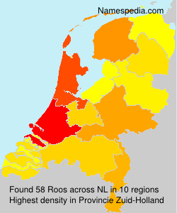 Surname Roos in Netherlands
