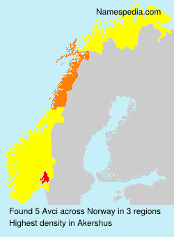 Surname Avci in Norway