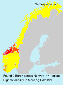 Surname Borek in Norway
